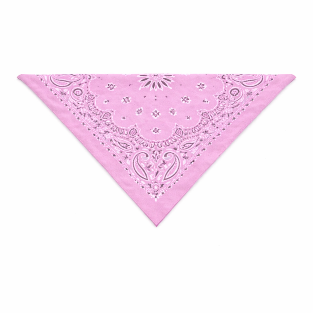 Bandana con Charm – Collo