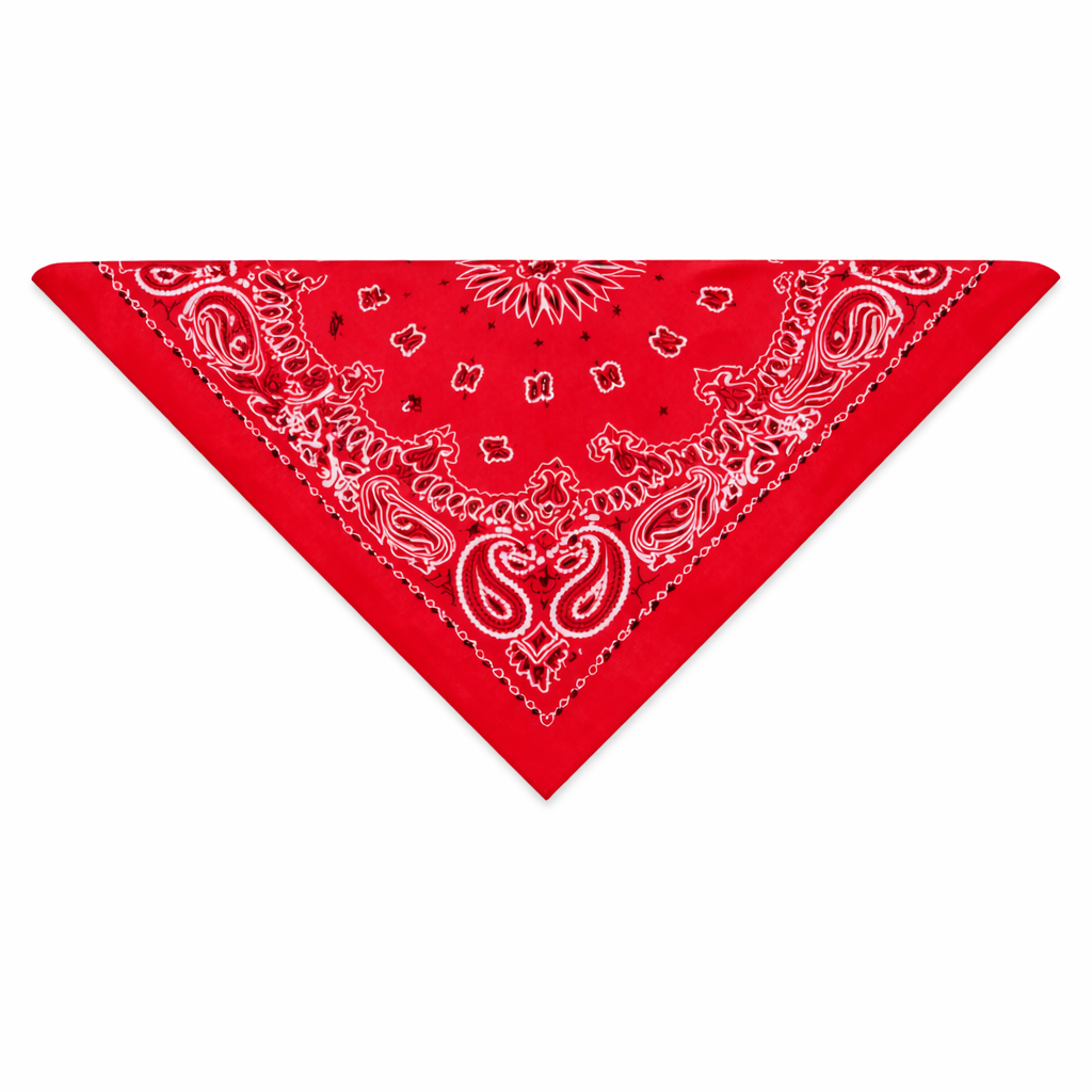 Bandana con Charm – Testa