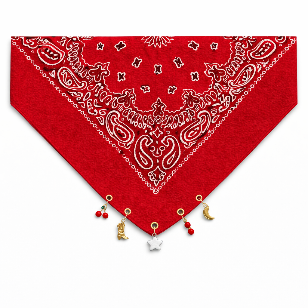 Bandana con Charm – Collo